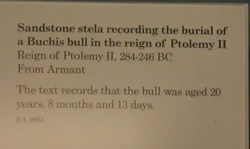 Stone stela with winged solar disc, uraeus, and buchis bull